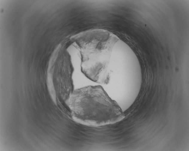 X0000066080761200604071732