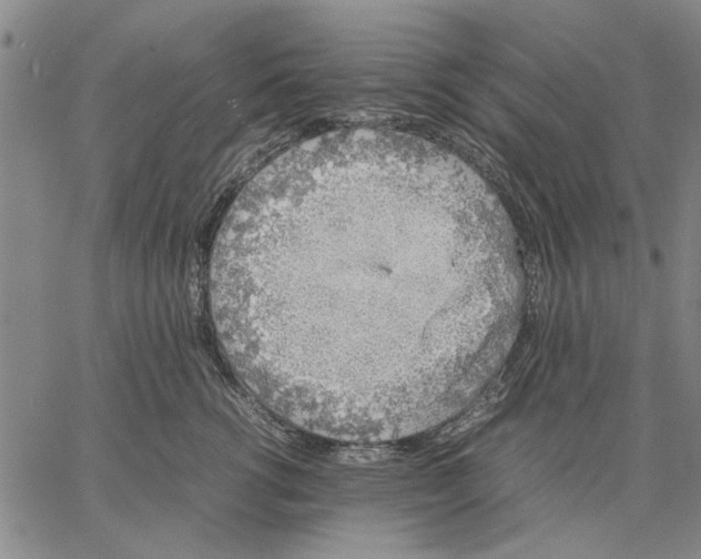 X0000066080762200604071732