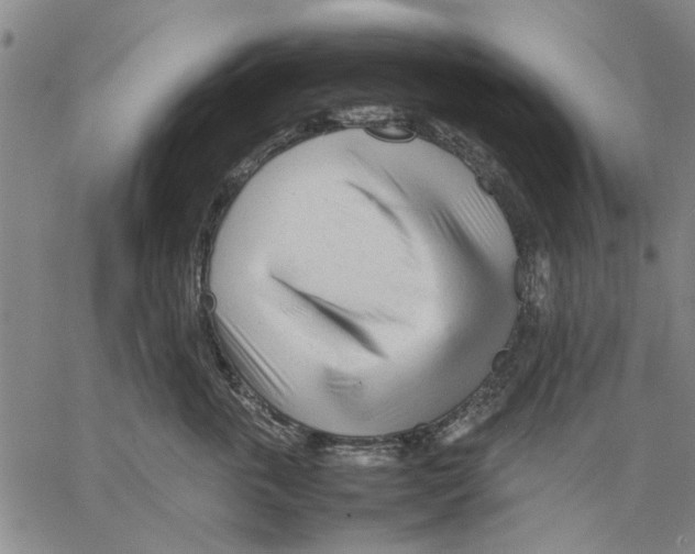 X0000066080763200604071732