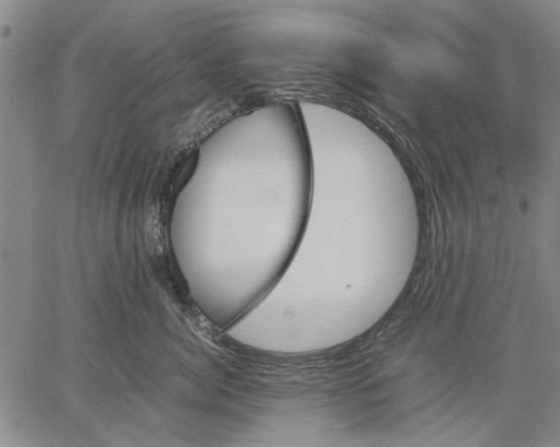 X0000066080764200604071732