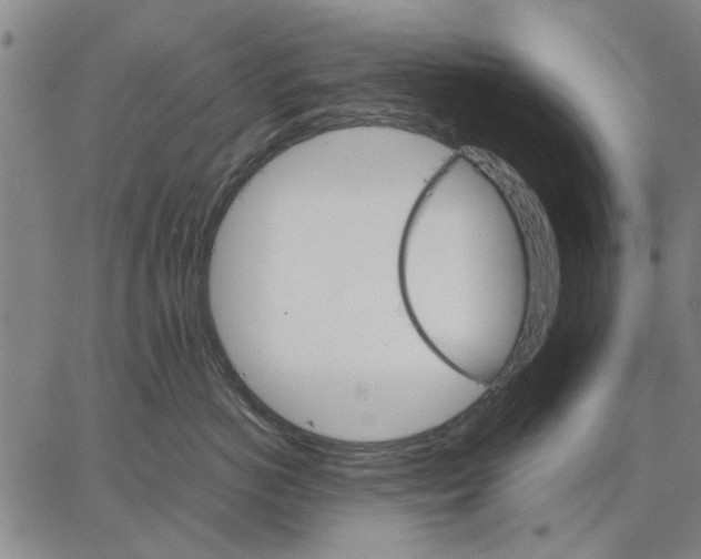 X0000066080766200604071732