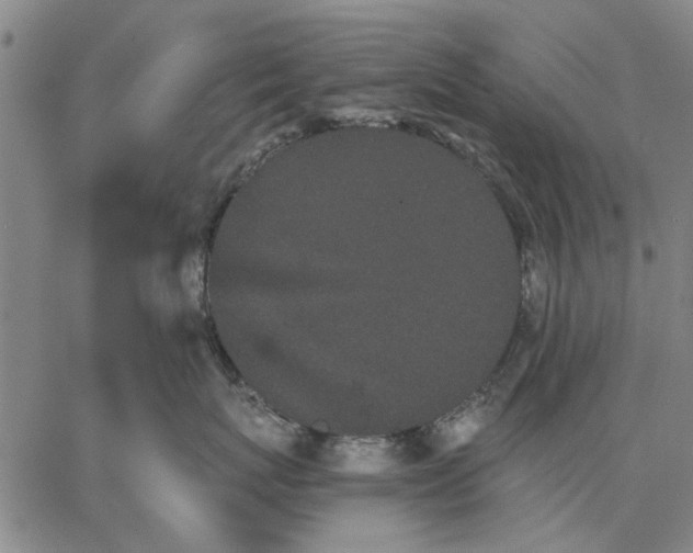 X0000066080767200604071732