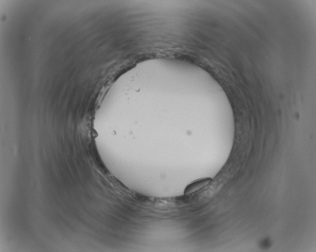 X0000066080768200604071732