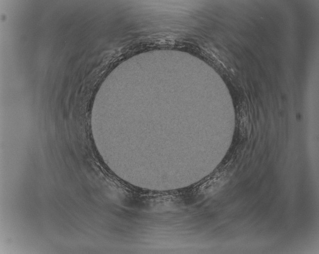 X0000066080769200604071731