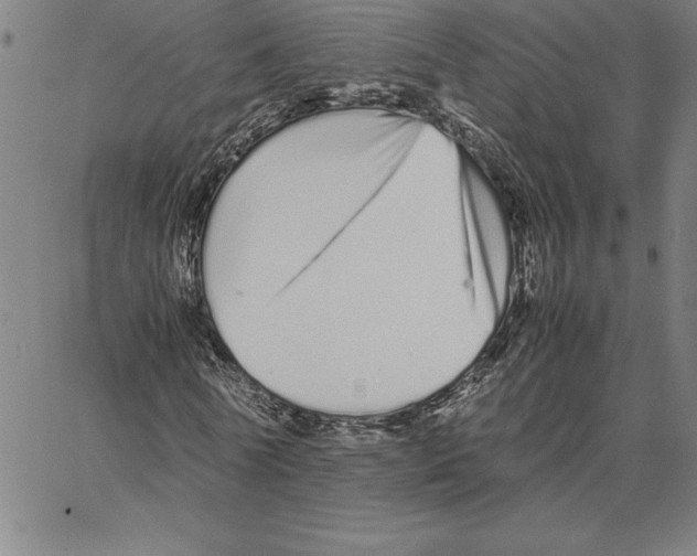 X0000066080770200604071731