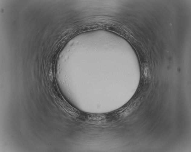 X0000066080771200604071731