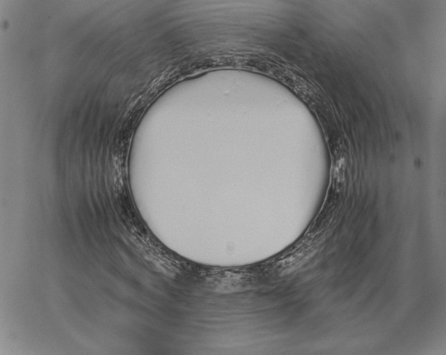 X0000066080772200604071731