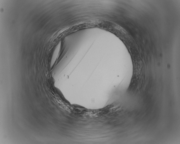 X0000066080773200604071731