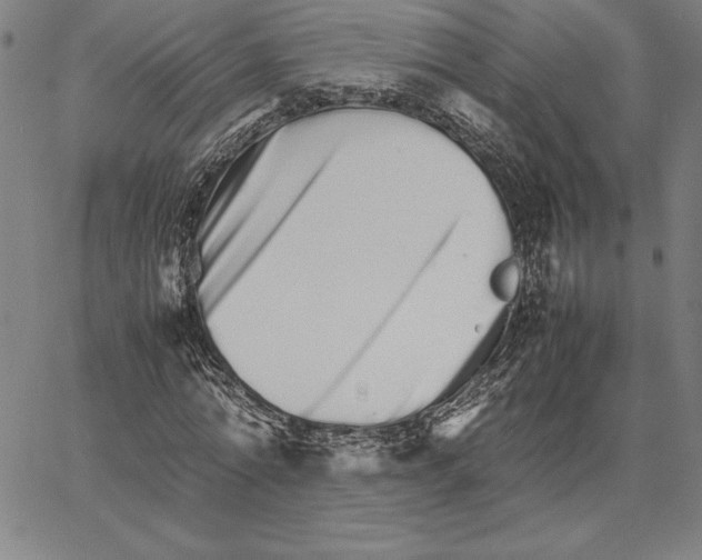 X0000066080774200604071731