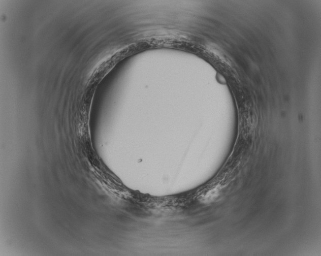 X0000066080775200604071731