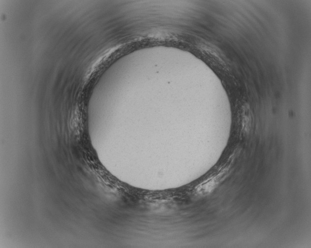 X0000066080776200604071731