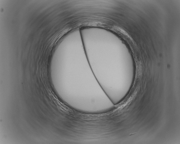 X0000066080777200604071731