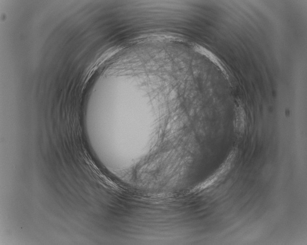 X0000066080778200604071731