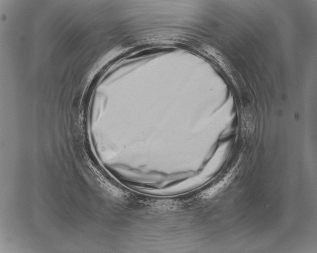 X0000066080779200604071731