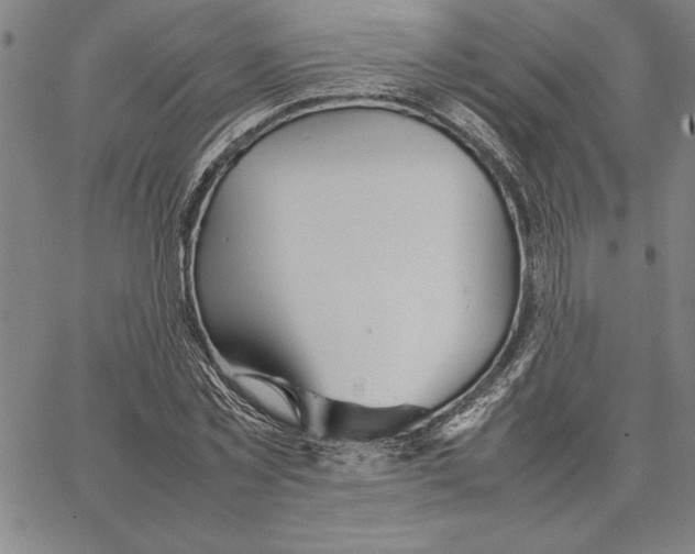 X0000066080781200604071731