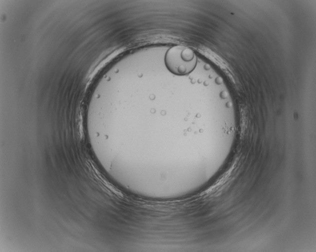 X0000066080782200604071731