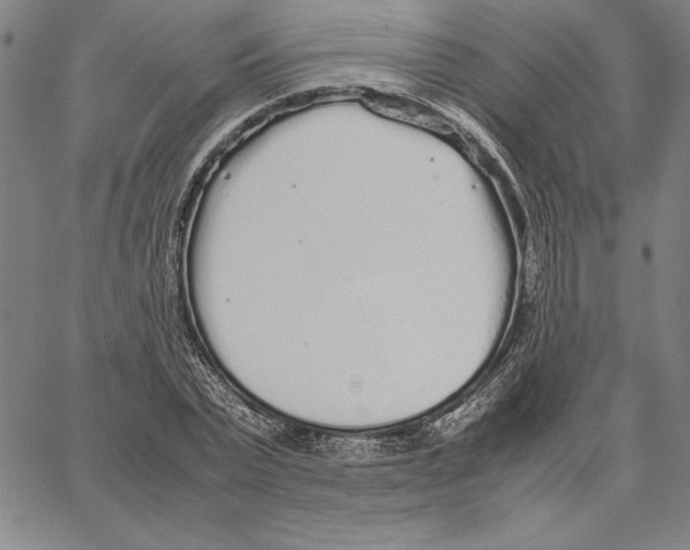 X0000066080783200604071731