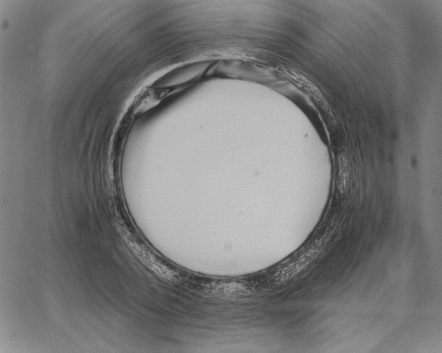 X0000066080784200604071731