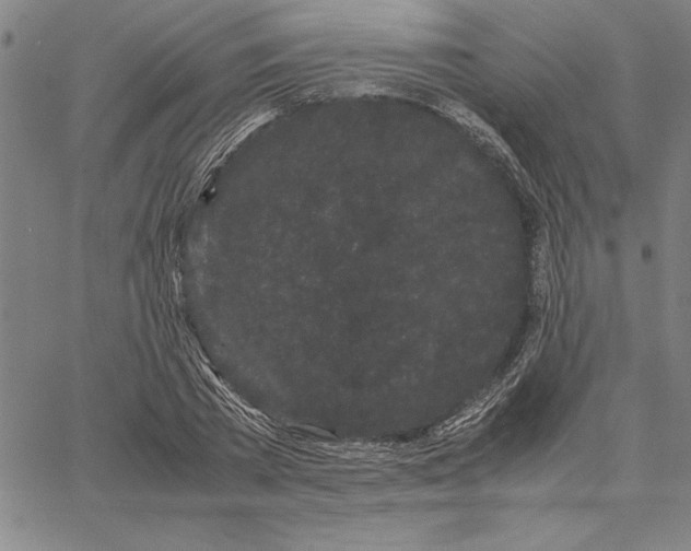 X0000066080785200604071731