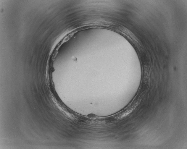 X0000066080788200604071731