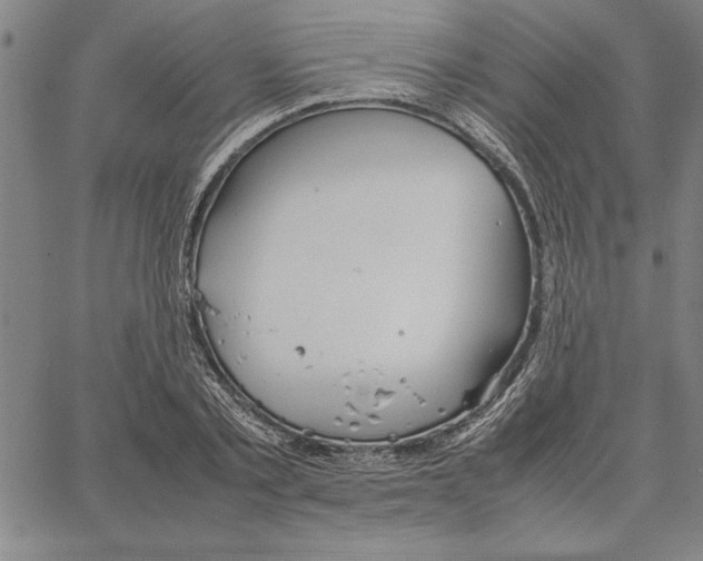 X0000066080789200604071731