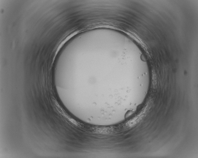 X0000066080790200604071731