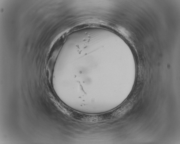 X0000066080791200604071730