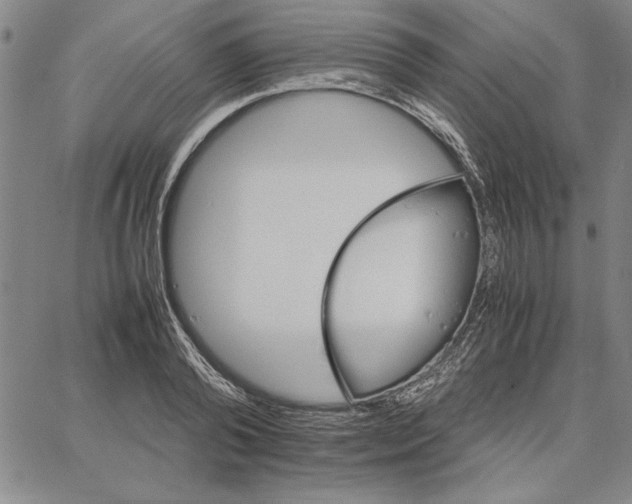 X0000066080792200604071730