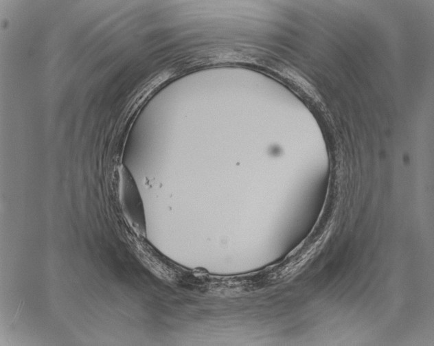 X0000066080793200604071730