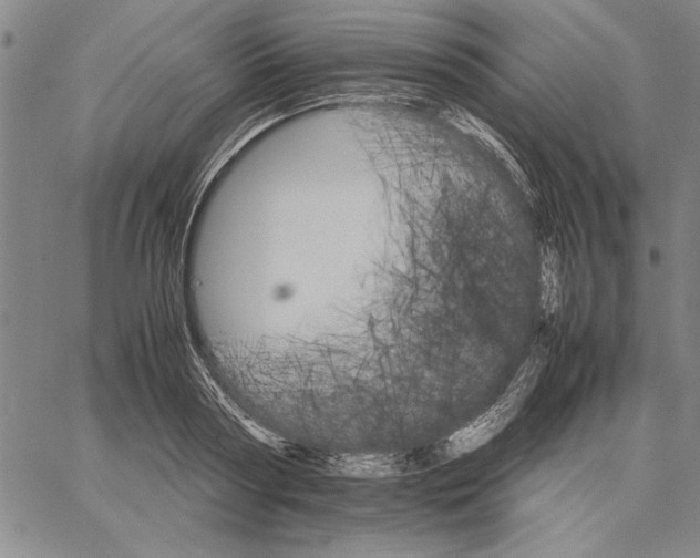 X0000066080794200604071730