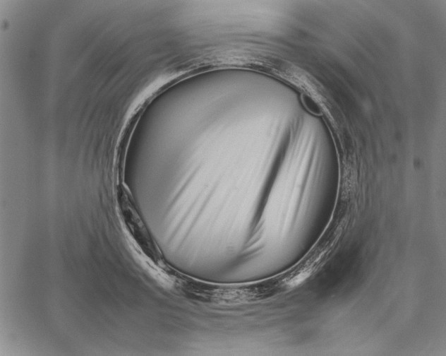 X0000066080795200604071730