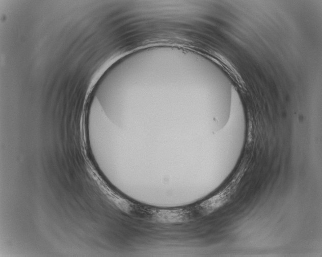 X0000066080796200604071730