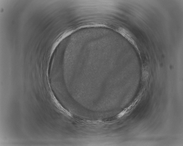 X0000066080797200604071730