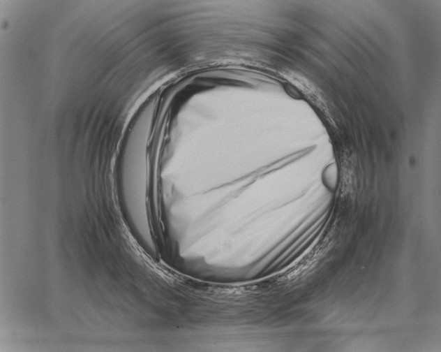 X0000066080798200604071730