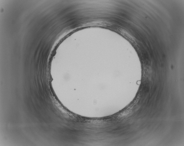 X0000066080800200604071730