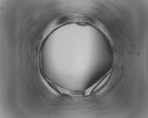 X0000066080803200604071730