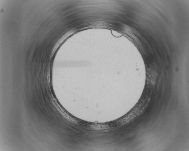 X0000066080804200604071730