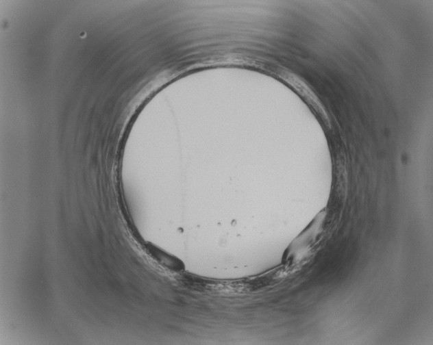 X0000066080805200604071730