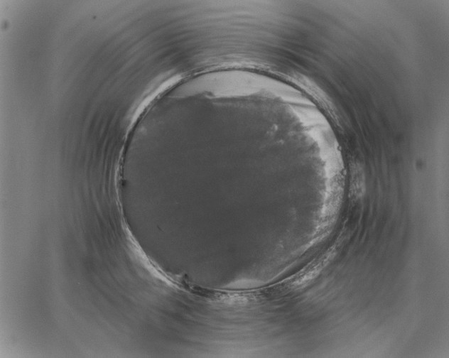 X0000066080806200604071730