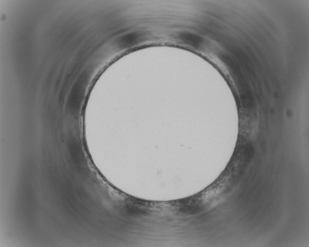 X0000066080807200604071730