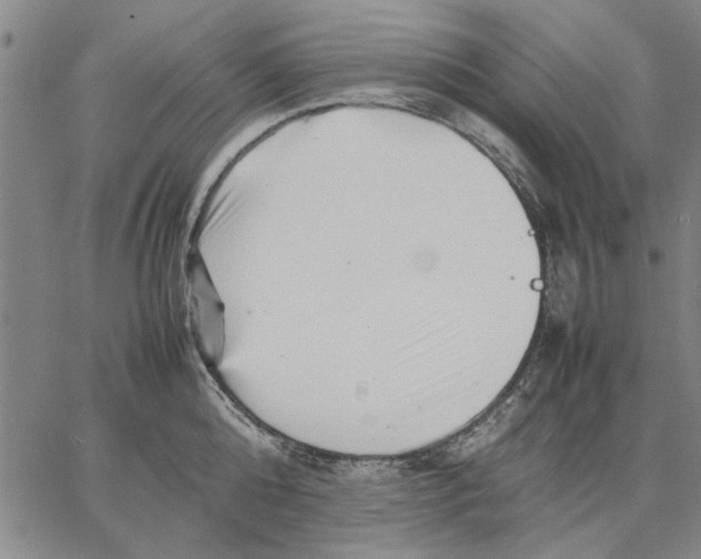 X0000066080808200604071730