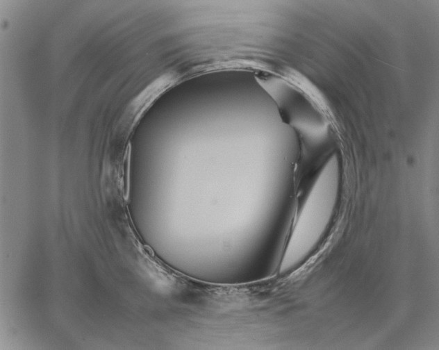 X0000066080809200604071730