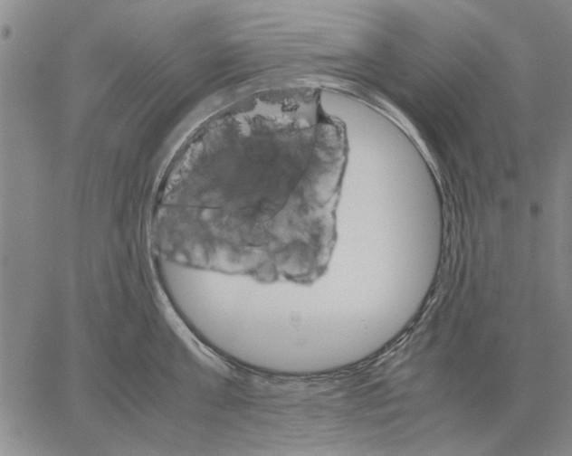 X0000066080811200604071730