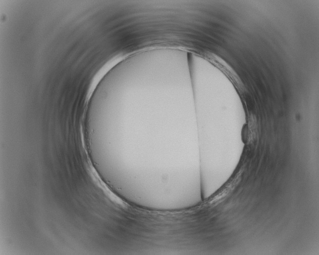 X0000066080812200604071730