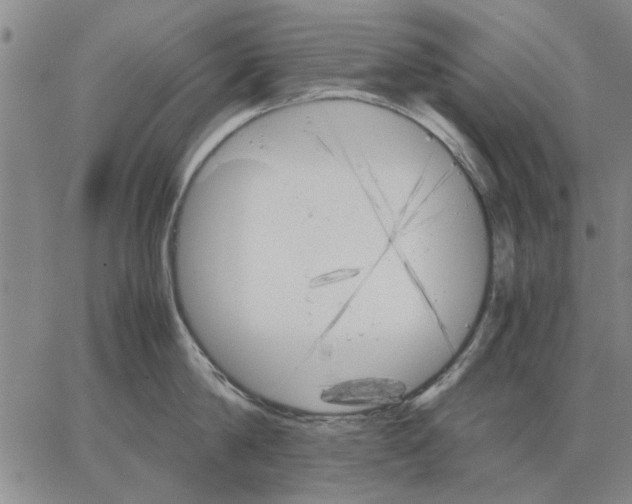 X0000066080814200604071730