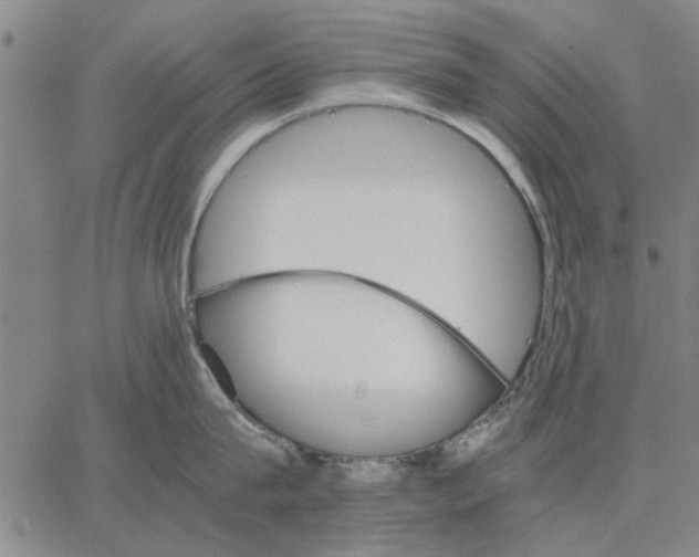 X0000066080815200604071730