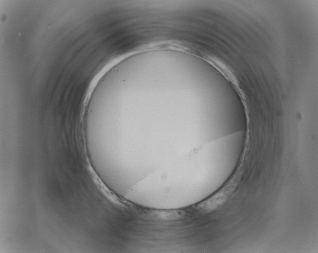 X0000066080816200604071730