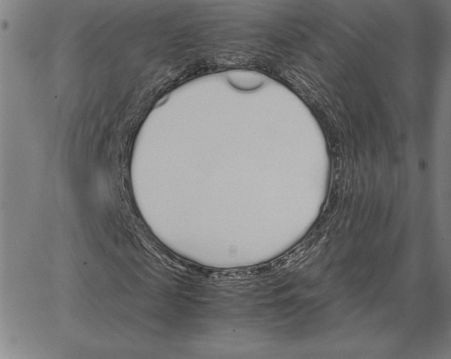 X0000066080817200604071729