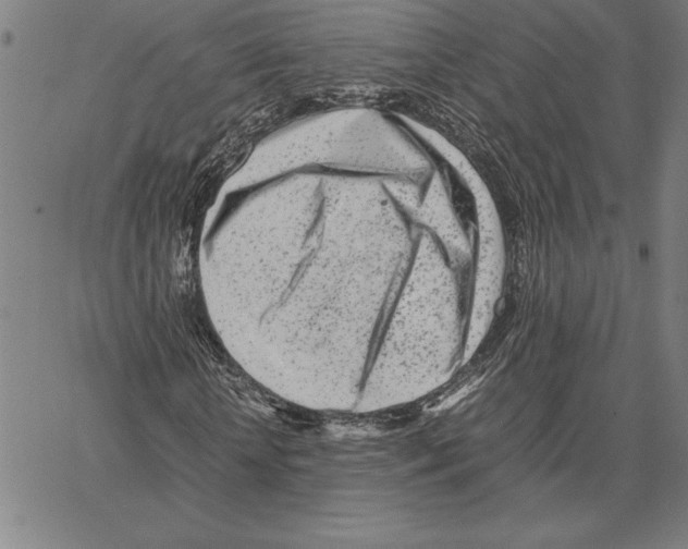 X0000066080818200604071729