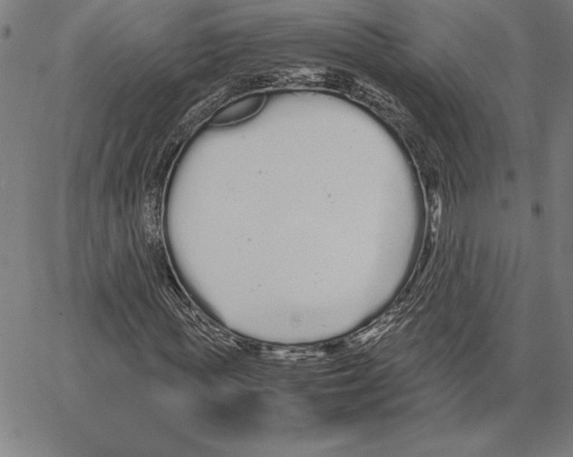 X0000066080819200604071729